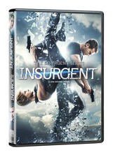 The Divergent Series