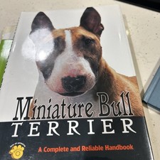 Miniature Bull Terrier