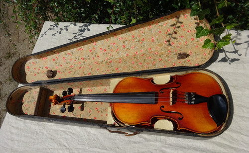Violino violino foglietto
