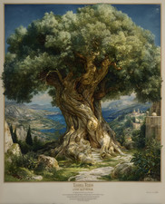 Libro di fiabe accogliente