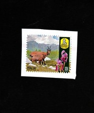 Italia 2023 Centenario Parco Nazionale d`Abruzzo Lazio Molise usato su frammento