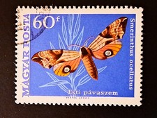 Hungary Insect Butterflies 60f