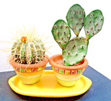 CERAMICA ARTISTICA * SICILIANA