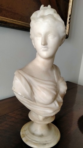 Busto scultura marmo venere - scultura,