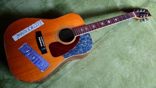 Chitarra acustica takeharu - chitarra,