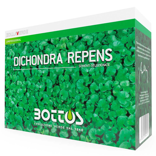 Sementi dichondra repens 500g - sementi,