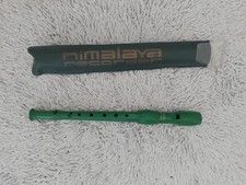 Flauto dolce in plastica verde