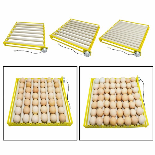 Plastica uovo gallina - plastica, di