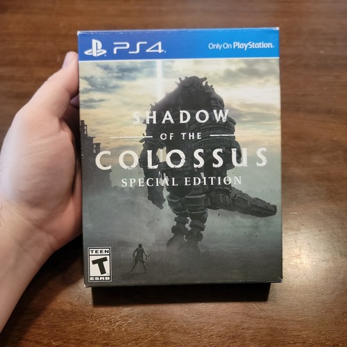 Shadow the colossus - shadow, of