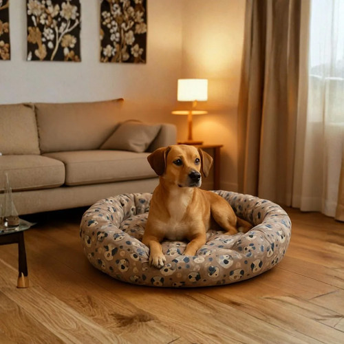 Cuccia cane interno per - cuccia,