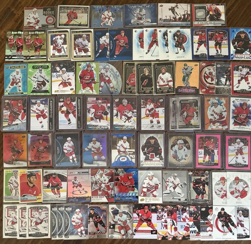 Carolina hurricanes nhl - carolina,