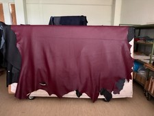 Pelle cuoio di - di,