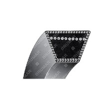 Cinghia TRAPEZOIDALE sezione