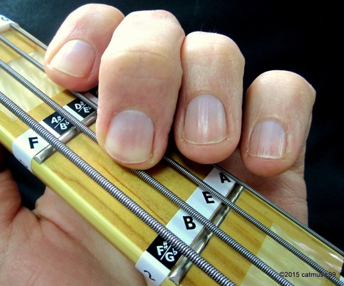 Basso note etichette - basso,