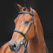 Shires Salisbury Fairford