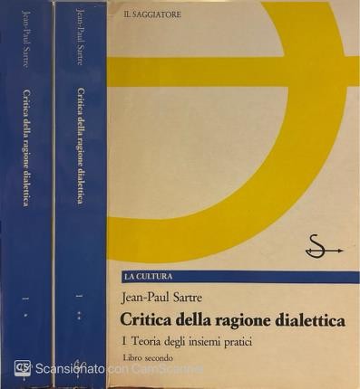 Critica della ragione