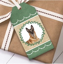 Pastore Belga Malinois Cane