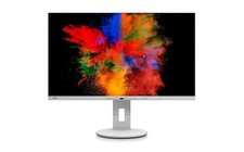 Fujitsu P2711 TE QHD Display