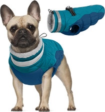 Cappotto Impermeabile Cane