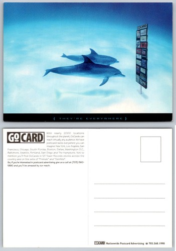 Gocard delfini cartolina - gocard,
