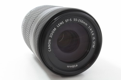 Canon 250mm 4 5 - ef-s, 55-250mm