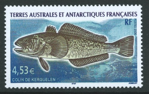 Francese sud antartico terr - sud,