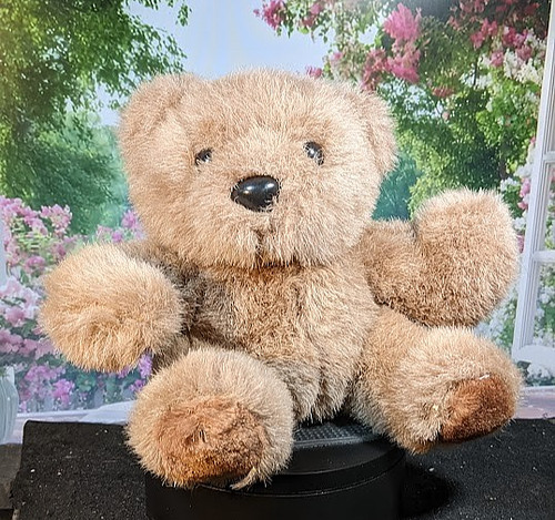 Peluche orso vintage regali - , e