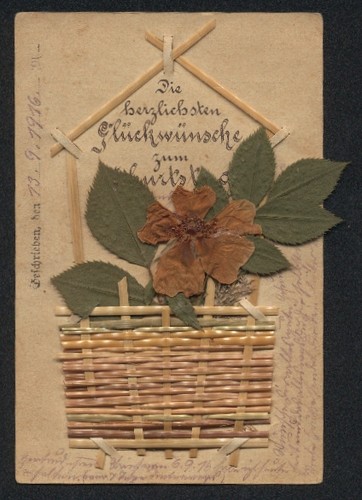 Fiori secchi fiore un - secchi,