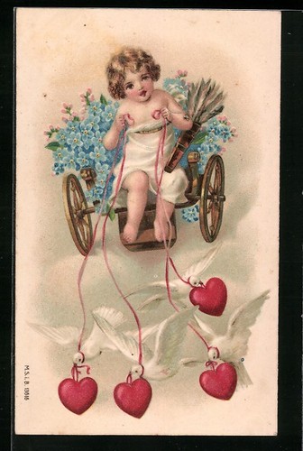 Colombe bianche attirano