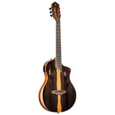 ORTEGA RTP-LTD TourPlayer
