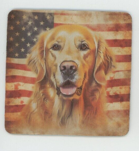 Golden retriever cane razza - retriever,