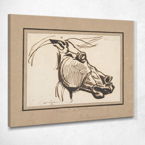 Testa cavallo dal partenone - testa, di