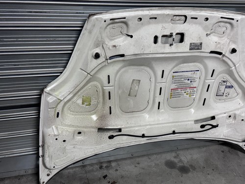 Cofano anteriore fiat grande - cofano,