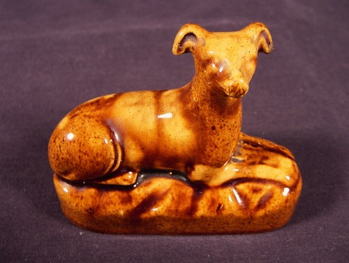 Rarissimo cane del - cane,