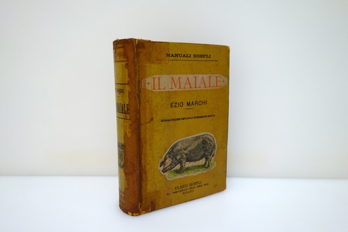 Maiale razze commercio - il,