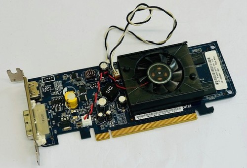 Scheda video grafica - , hdmi