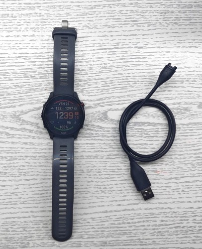 Garmin forerunner 255 46mm - garmin, in