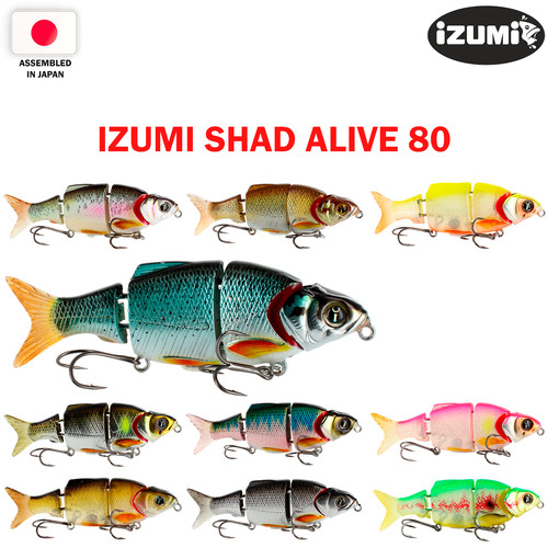 Izumi shad alive 9 - alive, 9,5