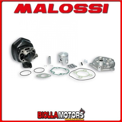 319747 gruppo termico malossi - termico,