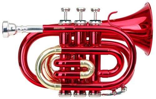 Tromba strumento fiato - strumento, a