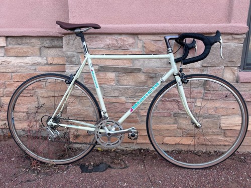 Bianchi campione - bianchi,