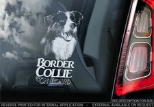 Adesivo auto Border Collie -