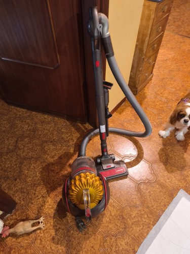 Aspirapolvere traino dyson - aspirapolvere,