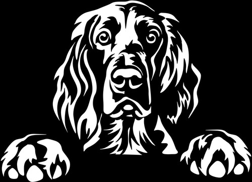 Adesivo irish setter - setter,