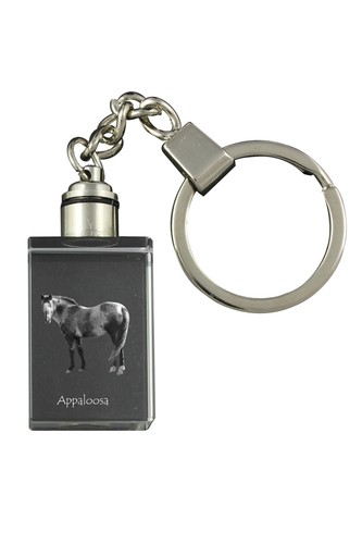Appaloosa portachiavi con