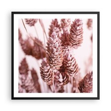 Poster 60x60cm Secchi Fiore
