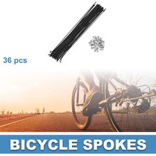 Raggi Bici 14G 260MM Mountain