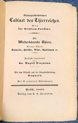 1837 armadio storia - 1837, di