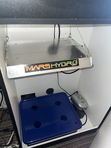 Grow box idroponico - box,