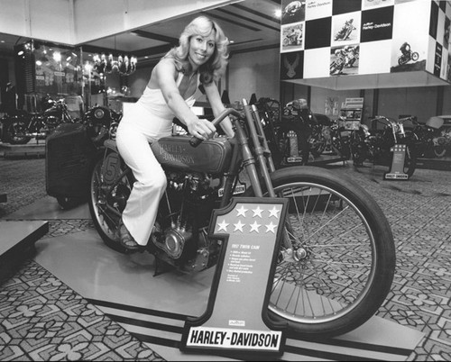 Harley davidson 1976 - harley, daytona